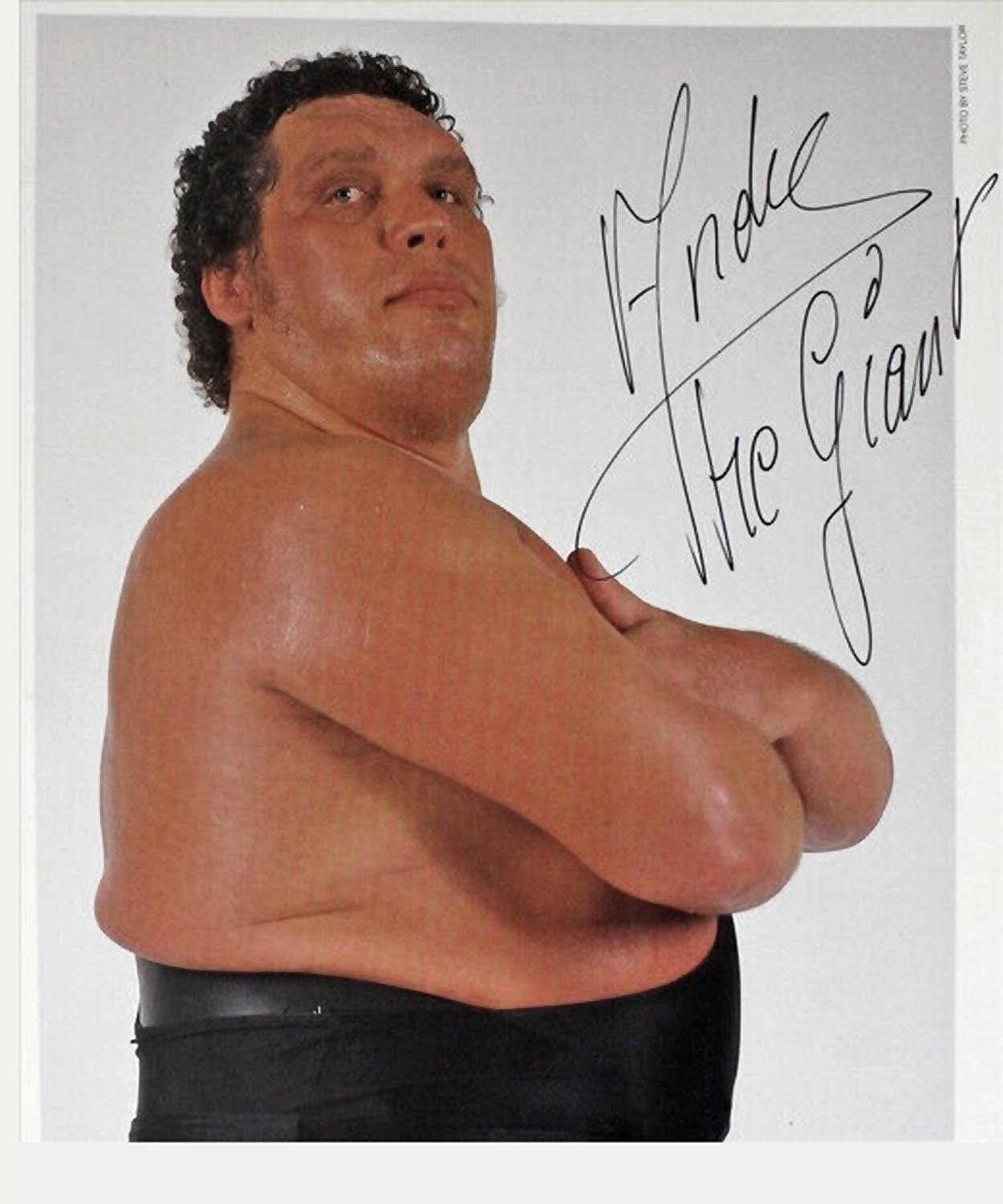 Andre the Giant